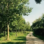 מלון Picobello Pineta