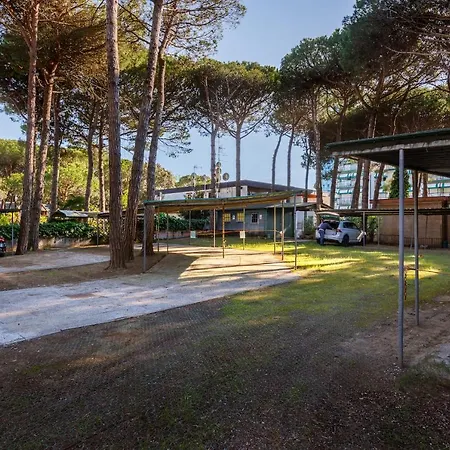 Picobello Pineta