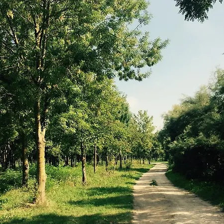 ホテル Picobello Pineta