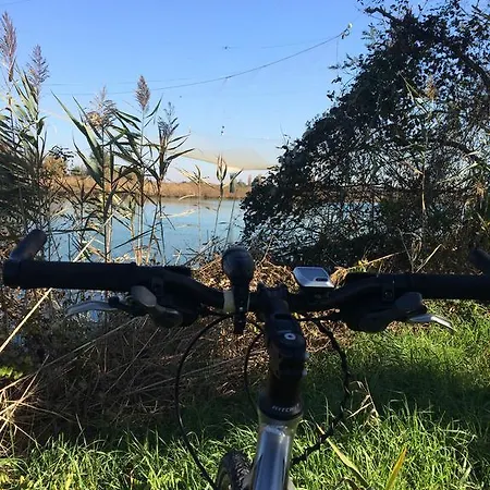 Ξενοδοχείο Picobello Pineta Τζεσόλο Λίντο