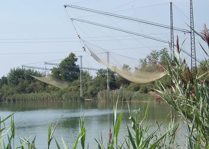 Picobello Pineta Hotel 3*