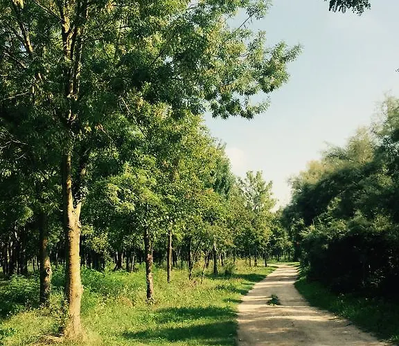 Hotel Picobello Pineta